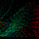 Harvard Extension School Data Mining for Business (CSCI E-96) Course Review